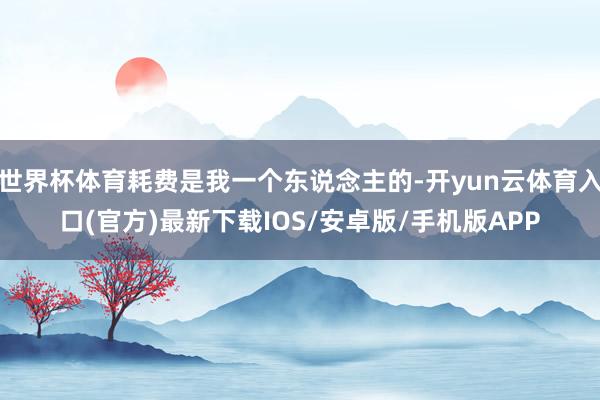 世界杯体育耗费是我一个东说念主的-开yun云体育入口(官方)最新下载IOS/安卓版/手机版APP