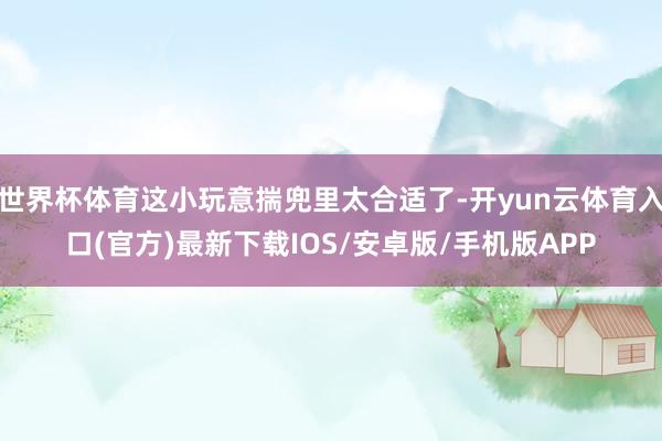 世界杯体育这小玩意揣兜里太合适了-开yun云体育入口(官方)最新下载IOS/安卓版/手机版APP